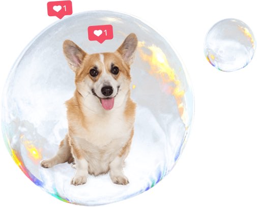 Perro bañándose con burbujas