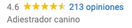 Opiniones en Google