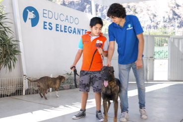 Entrenador de perro explicando a niño como manejar a su perro